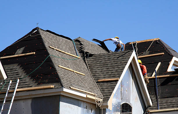 Best Shingle Roofing Installation  in Roanoke Rapids, NC
