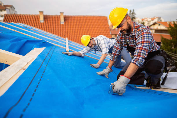 Professional Roofing Contractor in Roanoke Rapids, NC