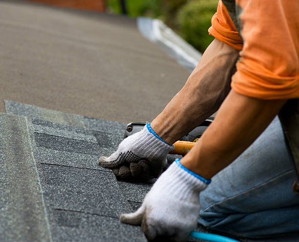 Roof Gutter Cleaning in Roanoke Rapids, NC