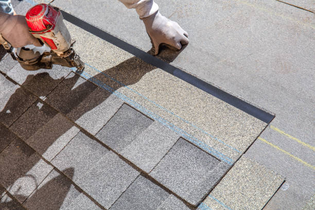 Quick and Trustworthy Emergency Roof Repair Services in Roanoke Rapids, NC