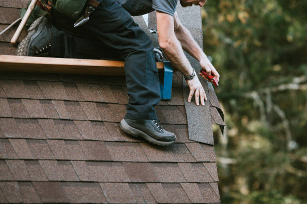 Quick and Trustworthy Emergency Roof Repair Services in Roanoke Rapids, NC