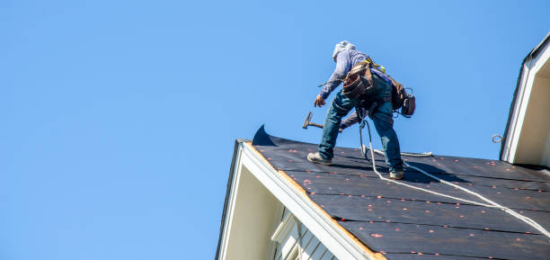 Best Shingle Roofing Installation  in Roanoke Rapids, NC